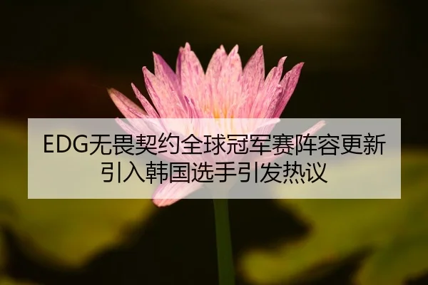 EDG无畏契约全球冠军赛阵容更新引入韩国选手引发热议